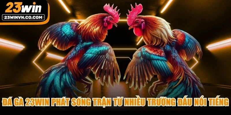 Đá gà 23Win phát sóng các trận hấp dẫn từ nhiều trường đấu nổi tiếng